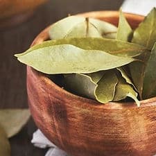 Bay Leaf