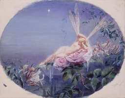 Nocturnes Of The Honeysuckle