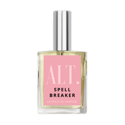 Spell Breaker