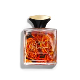 Citrus Blossom