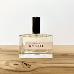 Spring In Kyoto