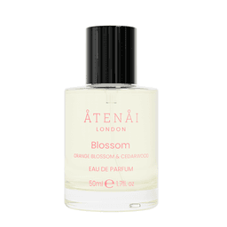Blossom
