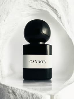 Candor Extrait De