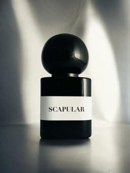Scapular Extrait De