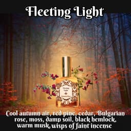 Fleeting Light