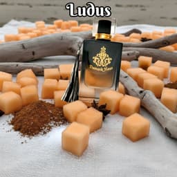 Ludus