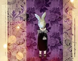 White Rabbit