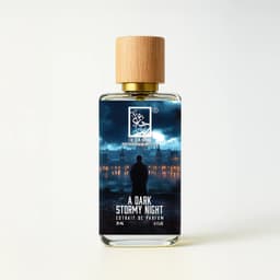 A Dark Stormy Night