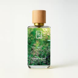 Blossom of Vetiver
