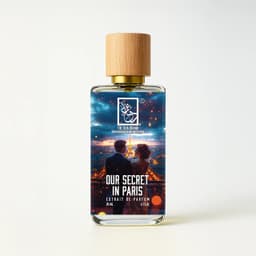 Our Secret In Paris