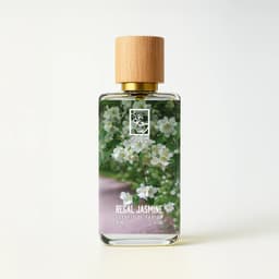 Regal Jasmine