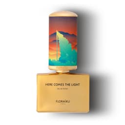Here Comes The Light