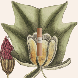Le Florette