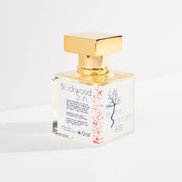 Blackwood Sun