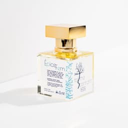 Épice Fern