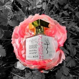 Forsaken Peony