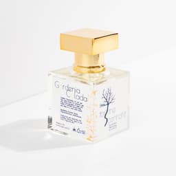 Gardenia Colada