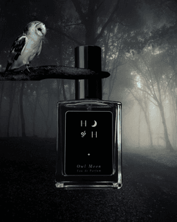 Owl Moon