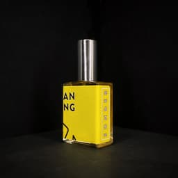 Sonder Perfume (2025)