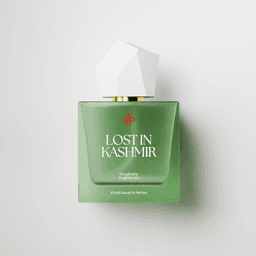 Lost In Kashmir