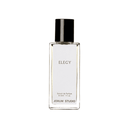 Elegy