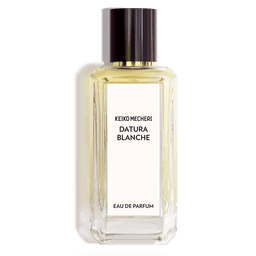Datura Blanche