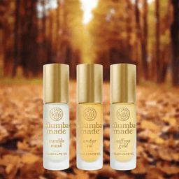 Fall Favorites Collection