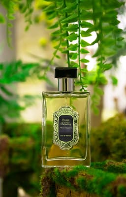 Perfume - Ginger Green Tea Fragrance