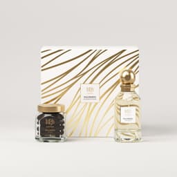 Palomino Box - Limited Edition