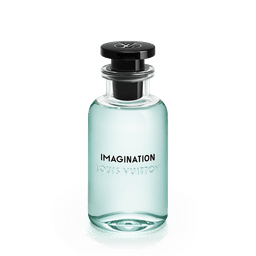 Imagination