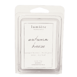 Autumn Breeze Wax Melt