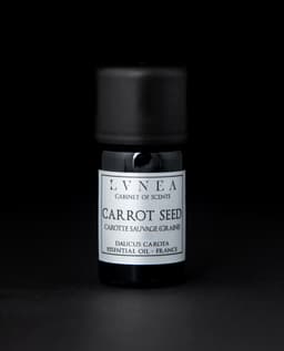 Carrot Seed | Essential Oil