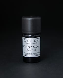 Cinnamon | Essential Oil