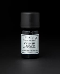 Cypress | Absolute
