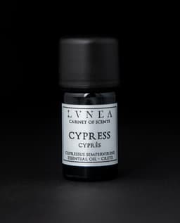 Cypress | Essential Oil