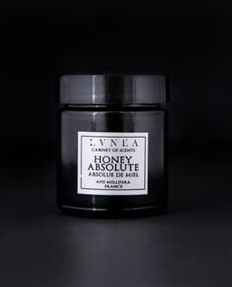 Honey | Absolute