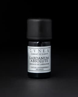 Labdanum | Absolute