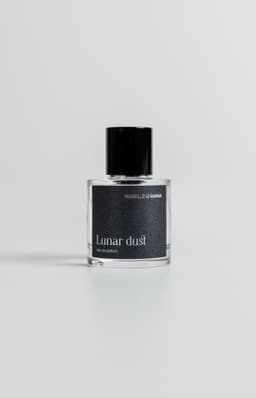 Lunar Dust