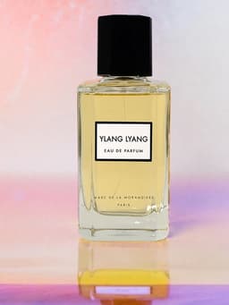 Ylang Lyang