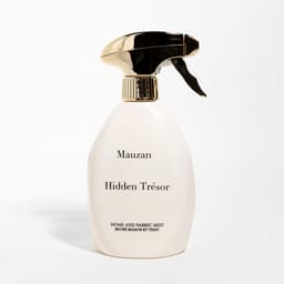 Hidden Trésor