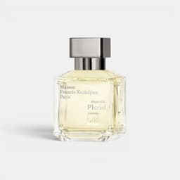 Masculin Pluriel