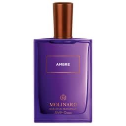 Eau De Parfum Ambre