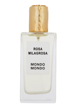 Rosa Milagrosa