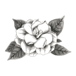Oahu - Gardenia