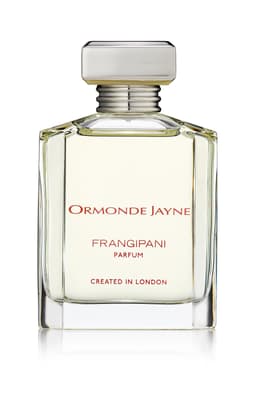 Frangipani