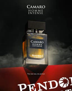 Camaro Homme Intense