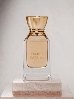 Fleur De Socotra