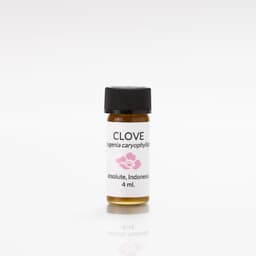 Clove Absolute