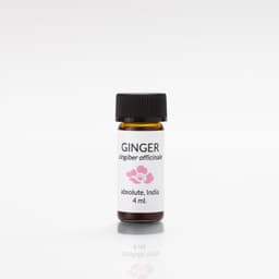 Ginger Absolute