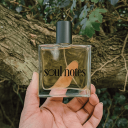 Soul Notes